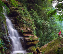 碧峰峽、上里古鎮(zhèn)二日游