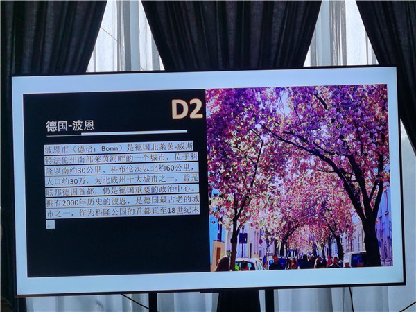 四川中青旅綿陽分社獨(dú)家定制圓夢歐洲系列 - 大全景 9 國 16 天 德國-法國-瑞士-意大利-奧地利-荷蘭-比利時-列支敦士登-盧森堡